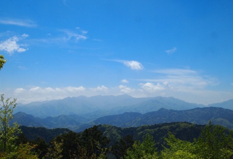 view from Mt. Takao