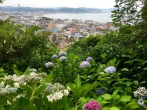 view from the hydrangea walk at Hasedera